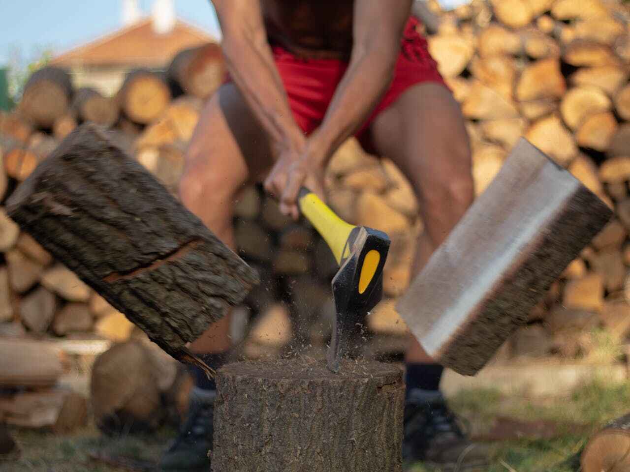 The Steps Involved in Our Tree Care Process in Seymour, TX